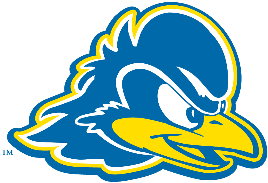 Delaware Blue Hens 2009-Pres Secondary Logo diy fabric transfer